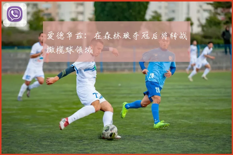 爱德华兹：在森林狼夺冠后将转战橄榄球领域