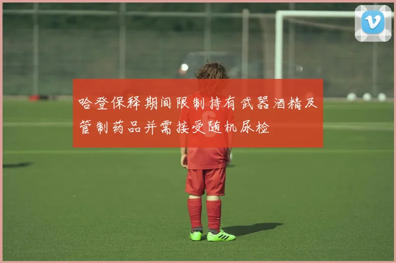 哈登保释期间限制持有武器酒精及管制药品并需接受随机尿检